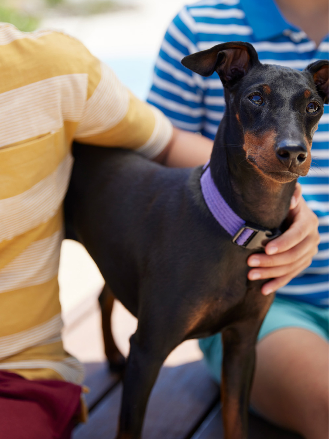 Discover the neighbourhood at Kinbrook